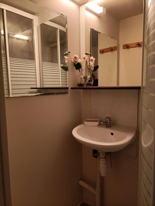 Agreable Et Paisible Apartment Franqueville-Saint-Pierre